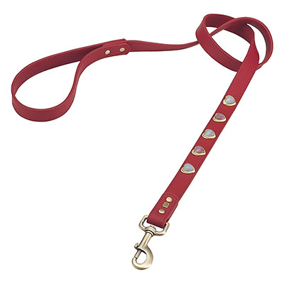 Heart Pink & White Cat Eye On Red Dog Leash_big